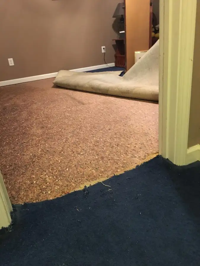 Carpet pad removal revealing water damage during Drying & Dehumidification in Killingly